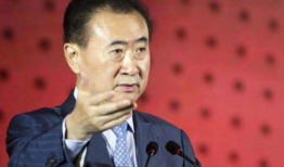 娱乐圈吃瓜王健林,娱乐圈吃瓜王，揭秘明星幕后故事